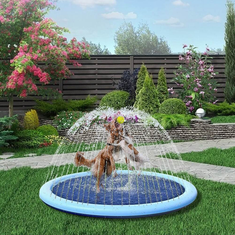 Piscina Chafariz Pet