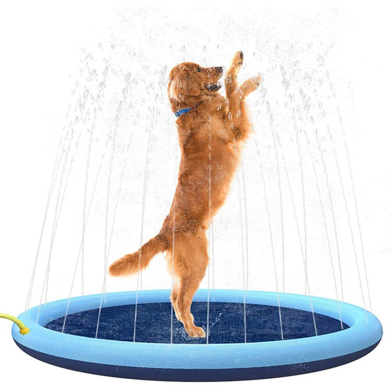 Piscina Chafariz Pet