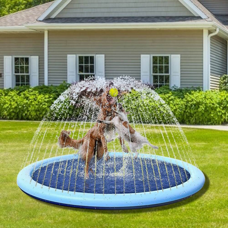 Piscina Chafariz Pet