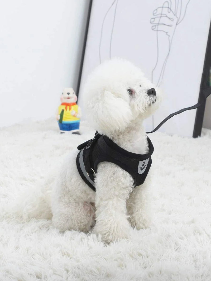 Guia Peitoral Para Cães e Gatos